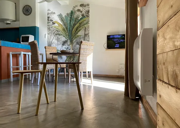 Joli Appartement T2 Avec Grande Terrasse Centre Ville