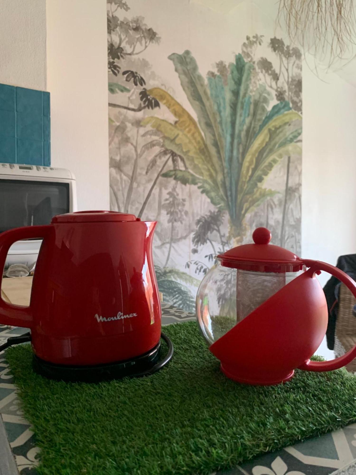 Joli T2 Avec Grande Terrasse Centre